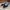 VANS Casual Sneakers Pria black blue photo 3