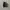 Nike Jordan Black White photo 3