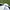 Kapito For One Person Only Streetwear Casual Suit Pria White Black
