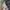 Camouflage Tiger Long Pants unknown Brand photo 6