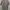Kemeja lengan pendek pria beige merk Uniqlo size XXL photo 4