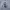 The Real McCoy's Vintage Y2K Sweatshirt Pria gray photo 2