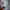 The Real McCoy's Vintage Y2K Sweatshirt Pria gray photo 4