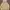 GAP Streetwear Y2K Trench coat Pria yellow photo 1