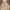 GAP Streetwear Y2K Trench Coat Pria Yellow