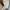 MCM Luxury Casual Polo shirt Pria cream photo 7