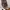 Converse Chuck Taylor All Star Canvas photo 4