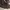 Converse Chuck Taylor All Star Canvas photo 2