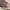 Converse Chuck Taylor All Star Canvas photo 3