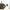 Polo Ralph Lauren Vintage Casual Sweatshirt Pria white brown photo 1