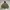 Avirex Bomber Hoodie Down Jacket
Military
