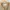 Urban Research Casual Polo shirt Pria tan cream photo 5
