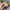 Slingbag Fjalraven Kanken High Coast Pocket photo 8