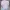 Kaos rip knit lengan pendek / crop top korea pastel photo 3