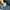Backpack Fjallraven Kanken photo 10