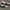 Adidas Alphatorsion Original Running Shoes photo 4