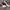 Adidas Alphatorsion Original Running Shoes photo 8