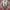 ⋆༺❤︎༒ ℒ𝒶𝒸ℯ 𝒟ℯ𝓃𝒾𝓂 ℬ𝓁𝒶𝓏ℯ𝓇 𝒥𝒶𝒸𝓀ℯ𝓉 ༒❤︎༻⋆ photo 7