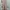 Vintage Kebaya Wanita pink photo 1