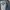 Streetwear Harrington jacket Pria multicolor photo 3