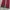 Dirtywolf Japanese Maroon Pants  photo 4