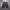 Celana carga dickies WK photo 2