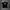 T-shirt Vondutch  photo 2