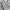 Sportswear Casual Hoody Pria gray photo 8