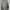 Casual vintage polo ralphlauren photo 3
