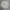 H_Essential x Hangten Unisex Basic Crewneck White size L photo 2