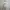 Fairy Coquette Bodycon dress Wanita cream photo 2
