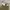 1945-1979 Belgian Army OG battledress wool trousers pants  photo 5
