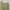 1945-1979 Belgian Army OG battledress wool trousers pants  photo 7