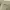 1945-1979 Belgian Army OG battledress wool trousers pants  photo 8