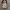 Y2K Handbag Wanita white black photo 1