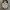 Y2K Handbag Wanita white black photo 2