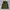 Crocodile Casual Windbreaker Wanita green photo 2