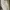 Kemeja Takeo kikuchi Japan pattern button up long shirt photo 7