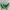 JW PEI Luxury Casual Crossbody Bag Wanita green photo 1