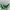 JW PEI Luxury Casual Crossbody Bag Wanita Green