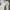 Adidas Streetwear Sportswear Jersey Pria white black photo 3
