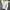 Adidas Streetwear Sportswear Jersey Pria white black photo 1
