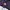 Lyle & Scott Purple Fleece Outdoor Jacket Kilimanjaro Patch  photo 7