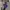 Hoodie Lukas Graham Official Purple