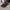 TOPI TITLEIST PRO V1 GOLF FJ PERFOMANCE VISOR TOUR photo 8