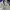 Polo Ralph Lauren Vintage Formal Shirt Pria Cream
