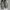 Compass Vintage Boots Pria white blue photo 1