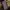 Fashionably London Zara Parfume