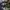 New Era 59FIFTY Fitted New York Yankees Desert Digital Camo  photo 5