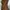Vintage Midi dress Wanita brown photo 5